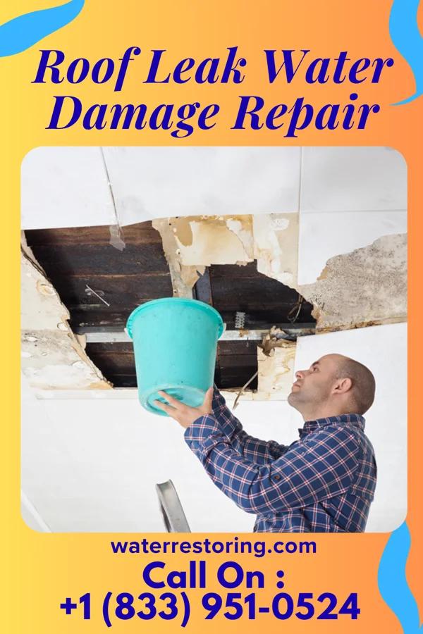 Roof Leak Water Damage Repair in Bienville, LA