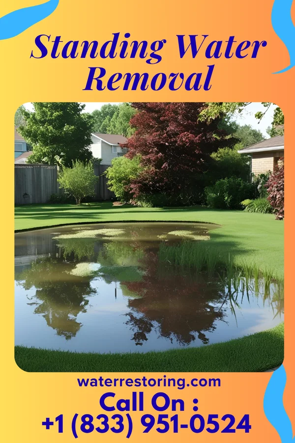 Standing Water Removal in Bienville, LA